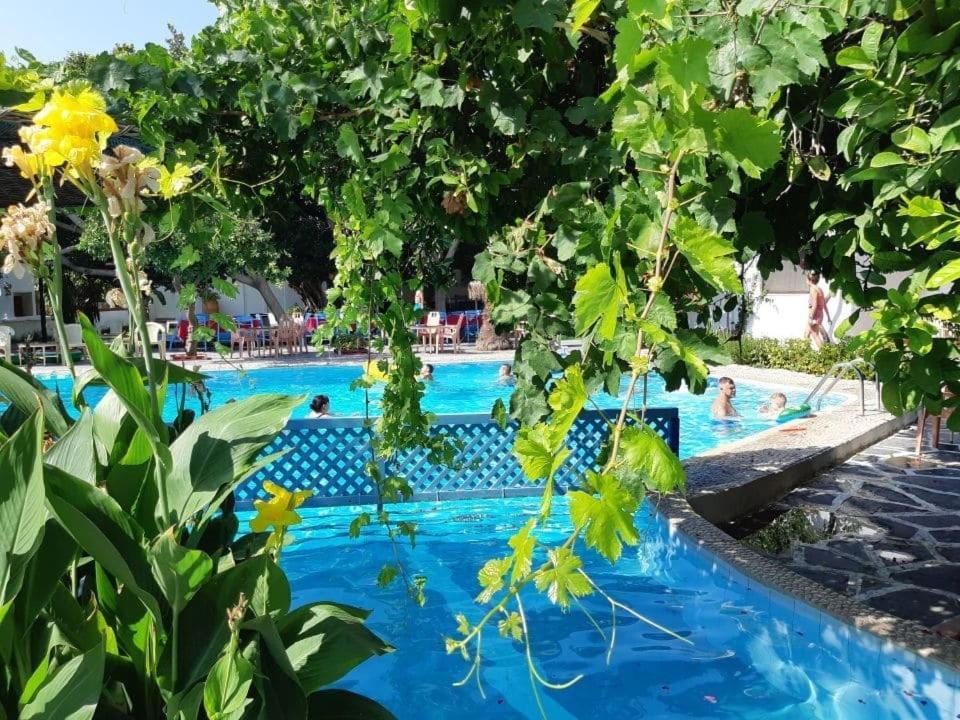 Oasis Hotel Bungalows Rhodes Афанту Экстерьер фото