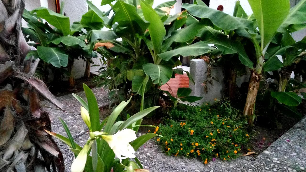 Oasis Hotel Bungalows Rhodes Афанту Экстерьер фото