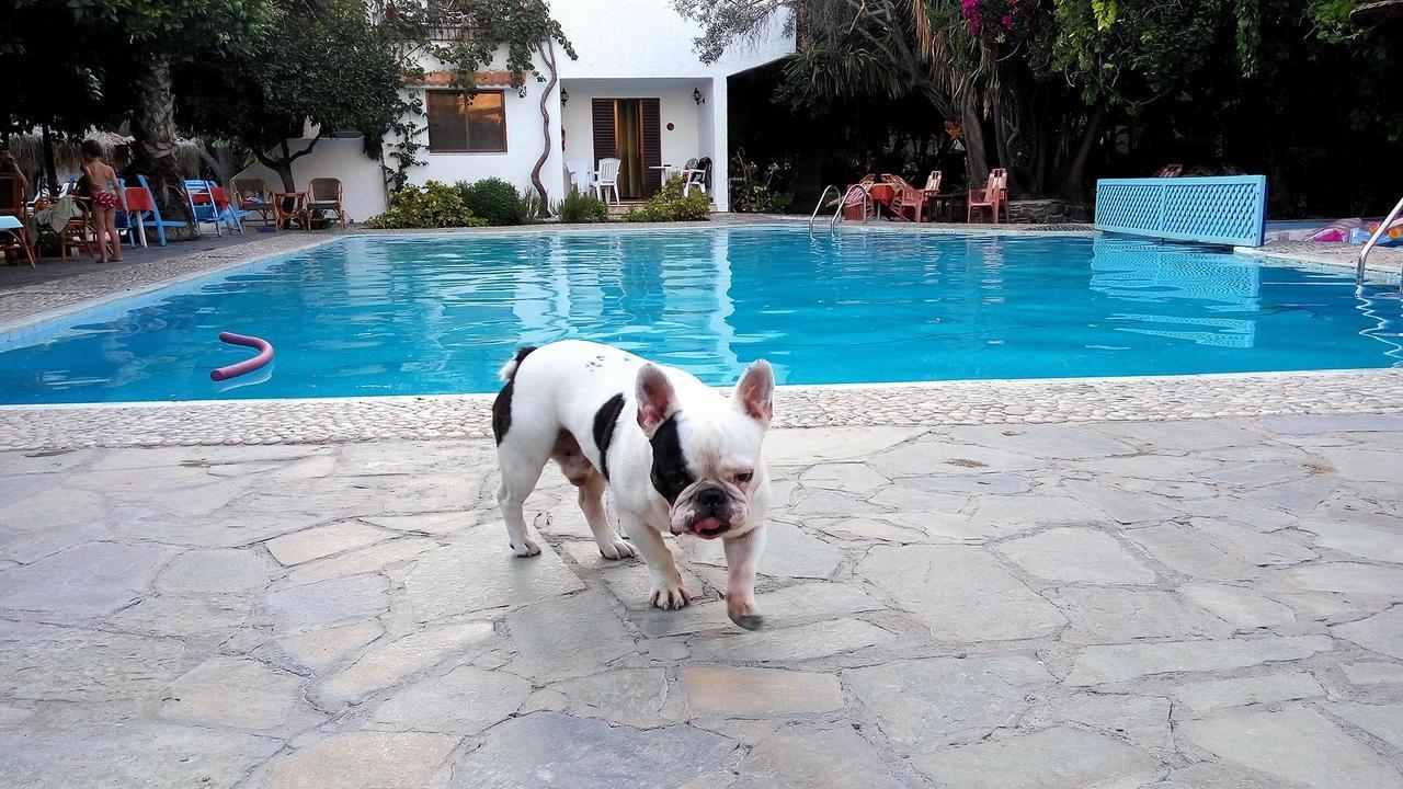 Oasis Hotel Bungalows Rhodes Афанту Экстерьер фото